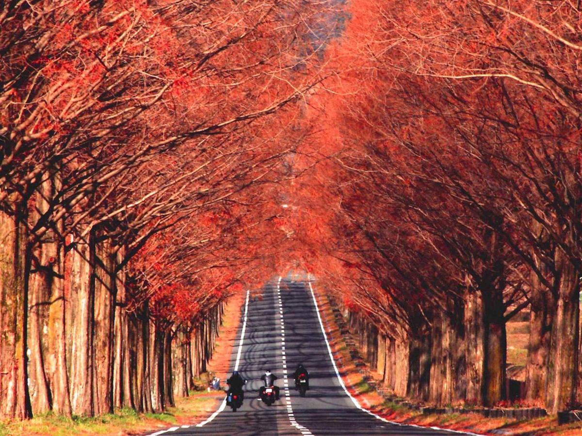 Racine Home Harie Takashima Bagian luar foto