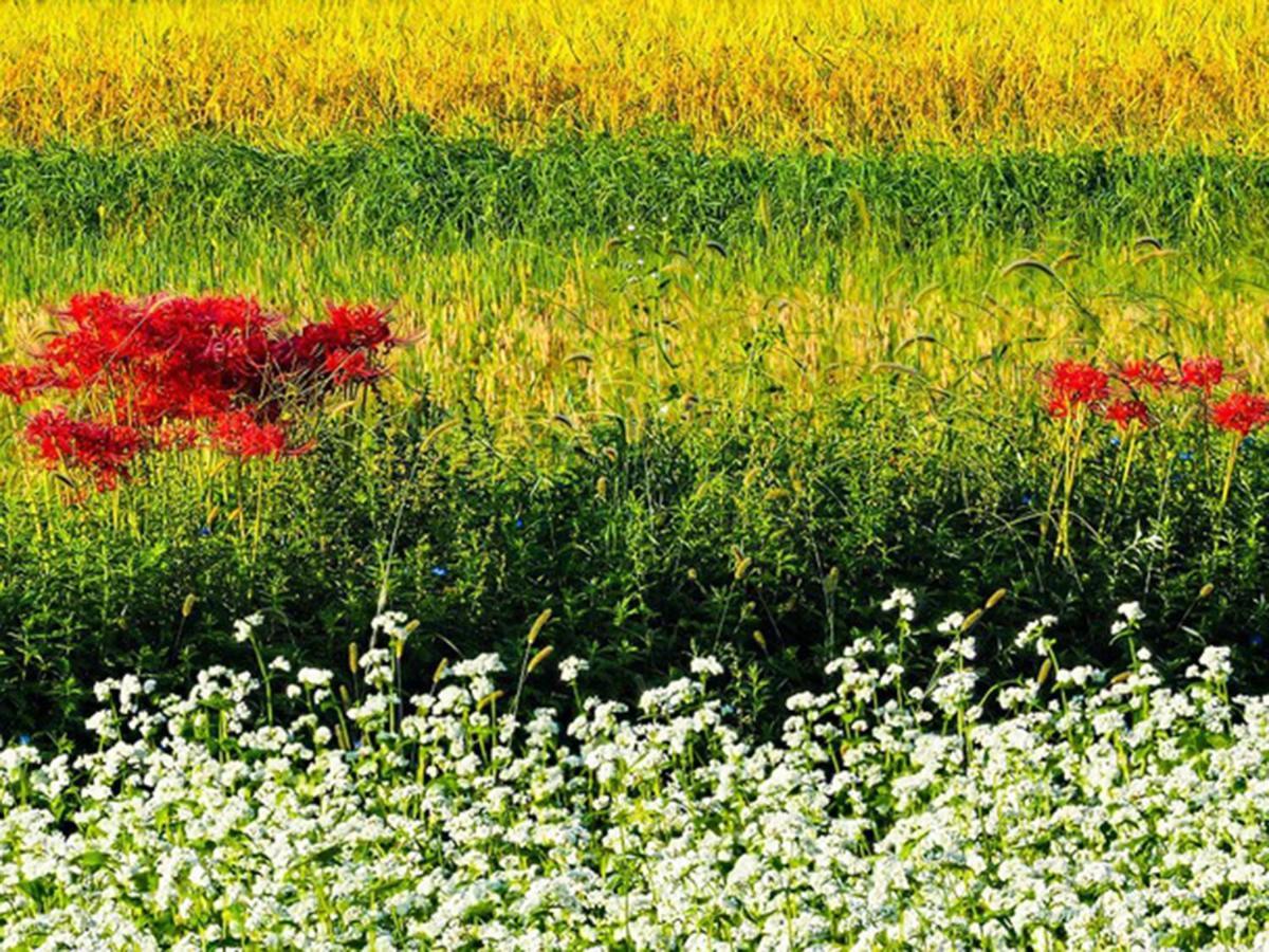 Racine Home Harie Takashima Bagian luar foto