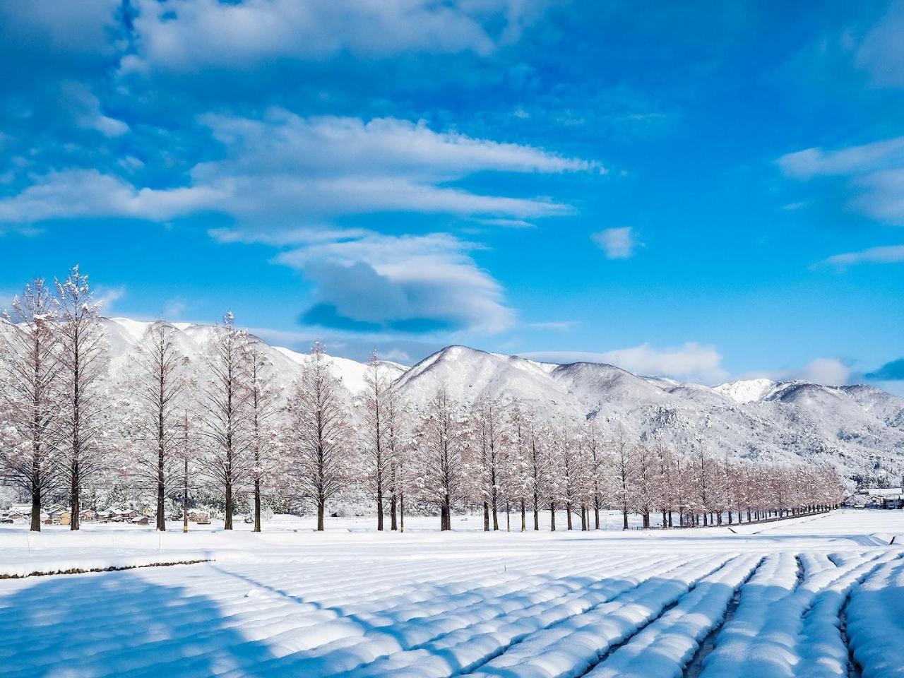 Racine Home Harie Takashima Bagian luar foto